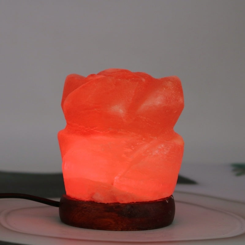 Himalayan Rose Salt USB Salt Light Rainbow Color